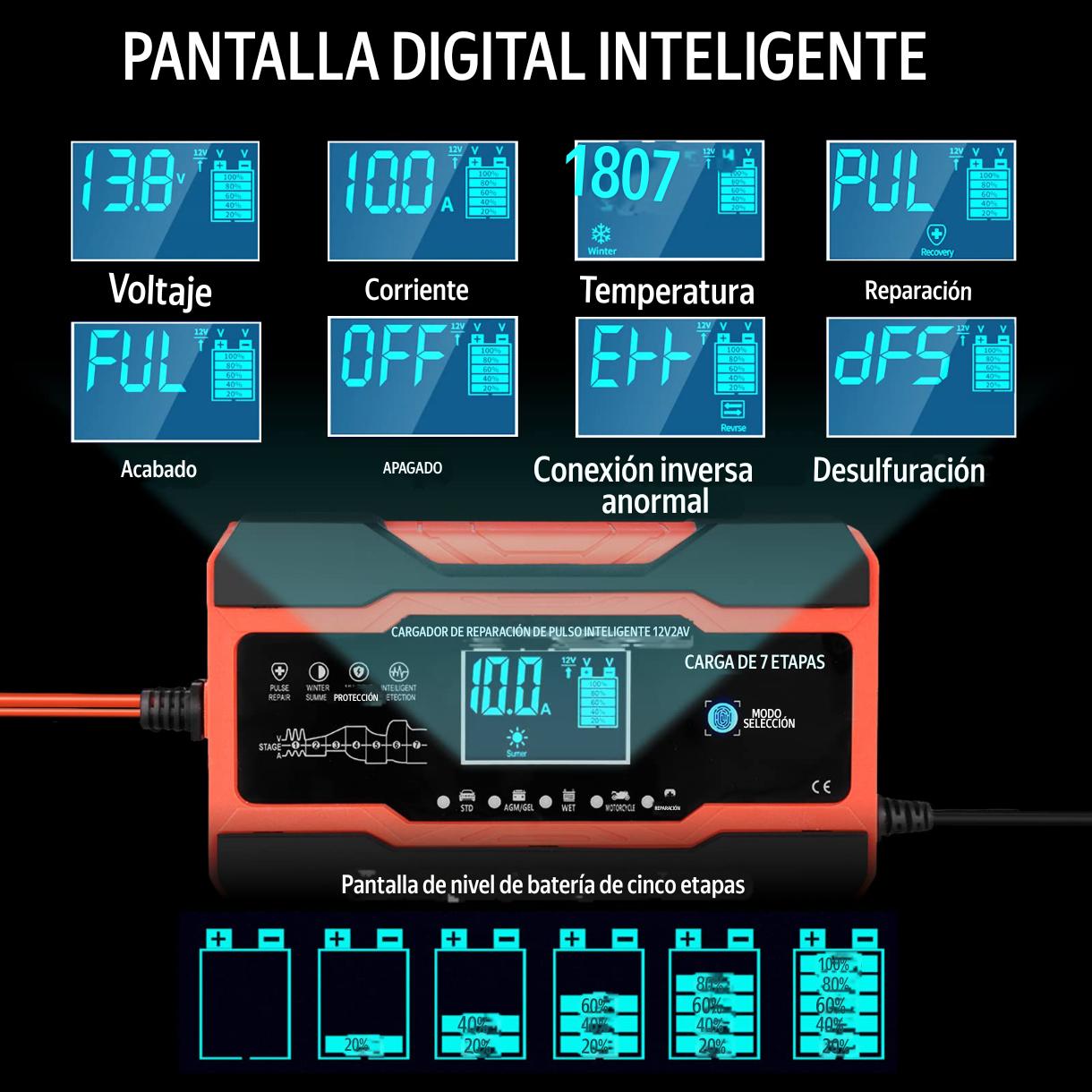 Cargador Baterias Portatil 12v 24v 10a