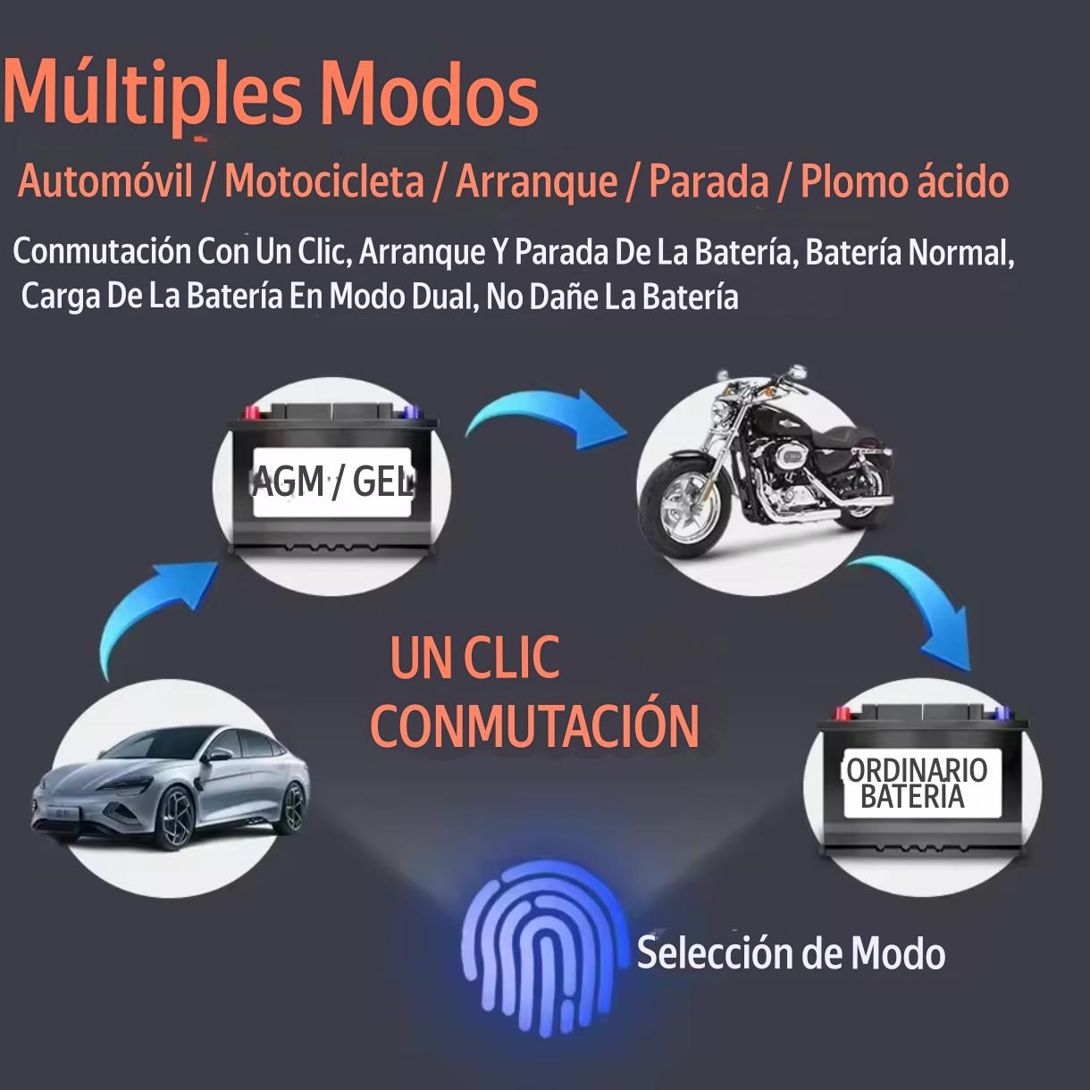 Cargador Baterias Portatil 12v 24v 10a